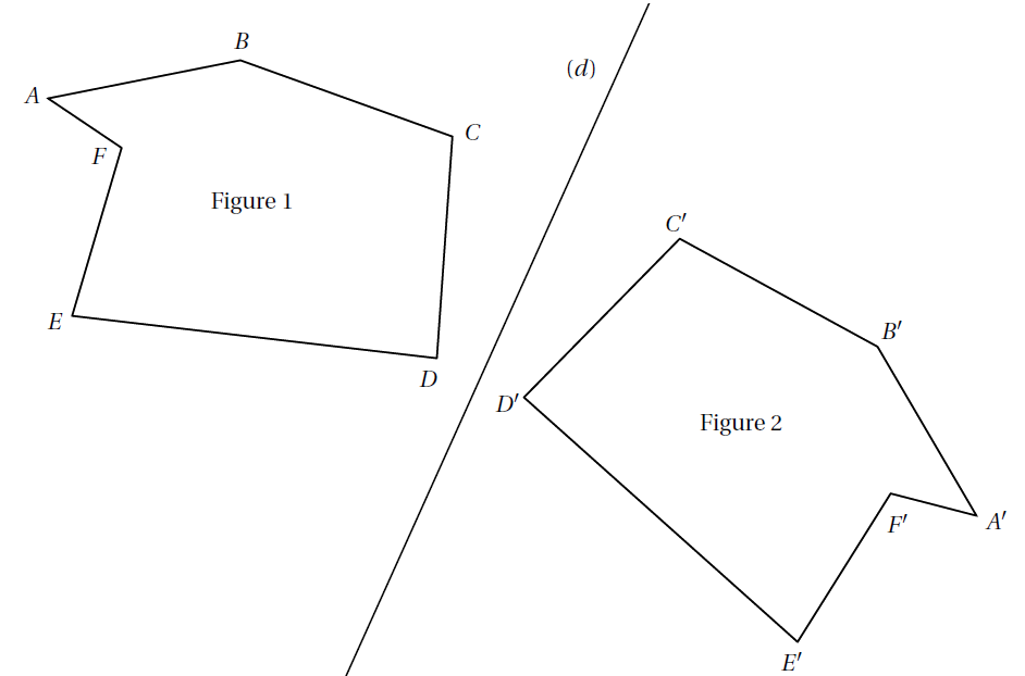 Deux figures symétriques par rapport à une droite (d)
