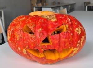 Lire la suite à propos de l’article Citrouille d’Halloween