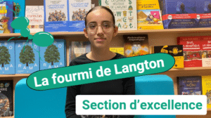 Lire la suite à propos de l’article Vidéo fourmi de Langton